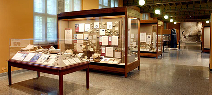 Hardened Glass Image